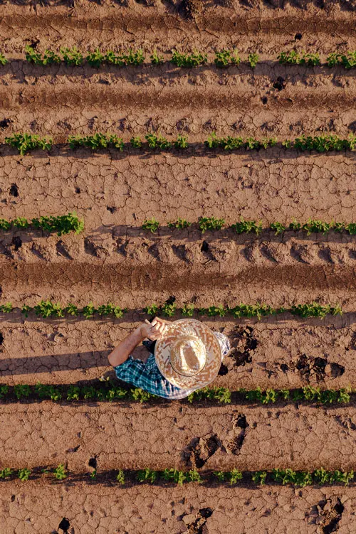 a farmer working in a farm